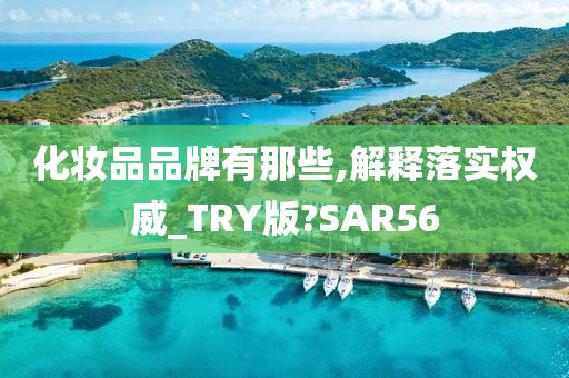 化妆品品牌有那些,解释落实权威_TRY版?SAR56