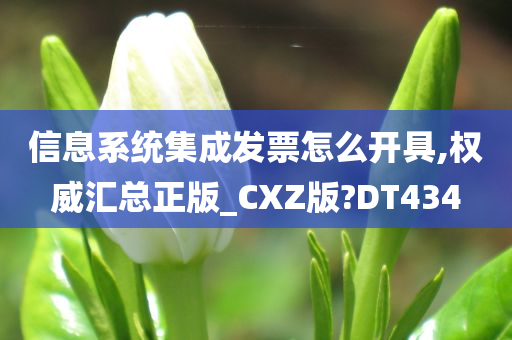 信息系统集成发票怎么开具,权威汇总正版_CXZ版?DT434