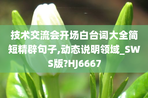 技术交流会开场白台词大全简短精辟句子,动态说明领域_SWS版?HJ6667