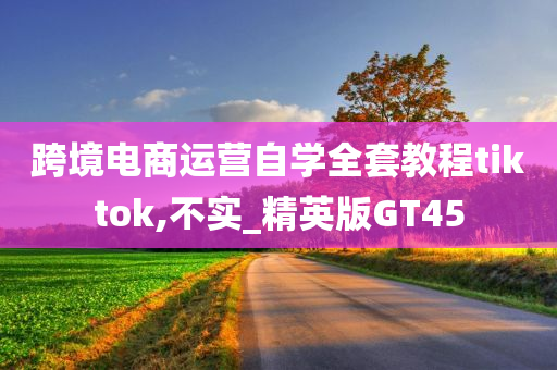 跨境电商运营自学全套教程tiktok,不实_精英版GT45