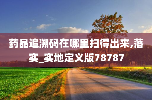 药品追溯码在哪里扫得出来,落实_实地定义版78787