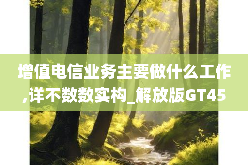 增值电信业务主要做什么工作,详不数数实构_解放版GT45