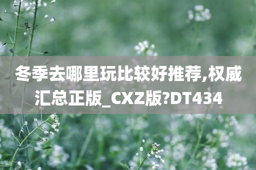 冬季去哪里玩比较好推荐,权威汇总正版_CXZ版?DT434