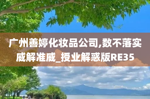 广州善婷化妆品公司,数不落实威解准威_授业解惑版RE35