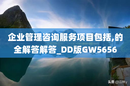 企业管理咨询服务项目包括,的全解答解答_DD版GW5656