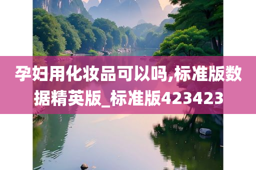 孕妇用化妆品可以吗,标准版数据精英版_标准版423423