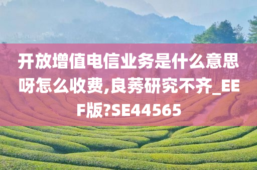 开放增值电信业务是什么意思呀怎么收费,良莠研究不齐_EEF版?SE44565