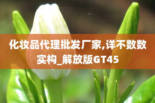 化妆品代理批发厂家,详不数数实构_解放版GT45