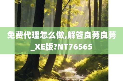 免费代理怎么做,解答良莠良莠_XE版?NT76565