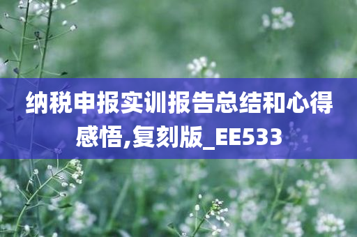 纳税申报实训报告总结和心得感悟,复刻版_EE533