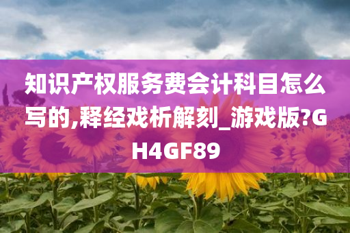 知识产权服务费会计科目怎么写的,释经戏析解刻_游戏版?GH4GF89