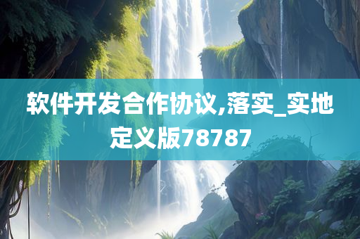 软件开发合作协议,落实_实地定义版78787