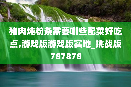 猪肉炖粉条需要哪些配菜好吃点,游戏版游戏版实地_挑战版787878