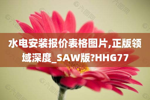 水电安装报价表格图片,正版领域深度_SAW版?HHG77