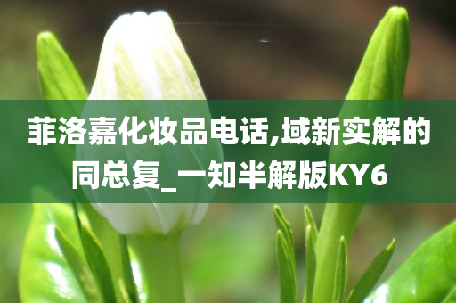 菲洛嘉化妆品电话,域新实解的同总复_一知半解版KY6