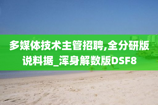 多媒体技术主管招聘,全分研版说料据_浑身解数版DSF8