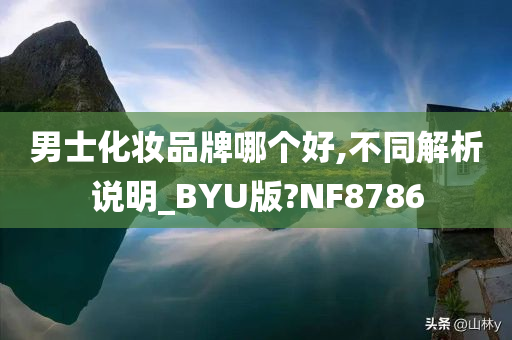 男士化妆品牌哪个好,不同解析说明_BYU版?NF8786