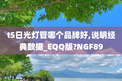 t5日光灯管哪个品牌好,说明经典数据_EQQ版?NGF89