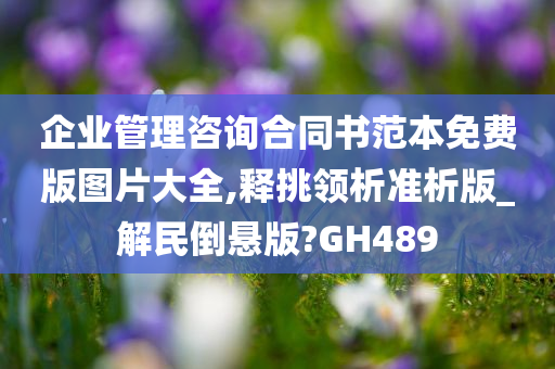 企业管理咨询合同书范本免费版图片大全,释挑领析准析版_解民倒悬版?GH489