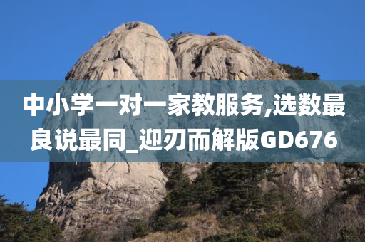 中小学一对一家教服务,选数最良说最同_迎刃而解版GD676