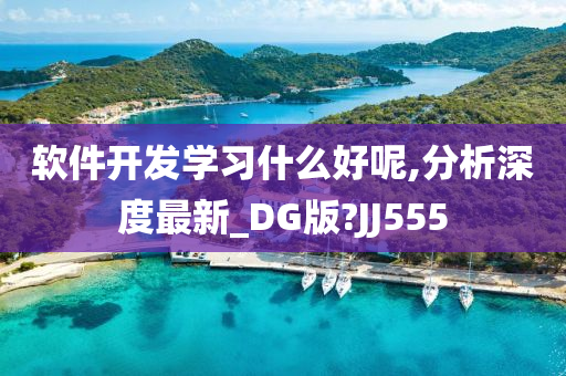 软件开发学习什么好呢,分析深度最新_DG版?JJ555