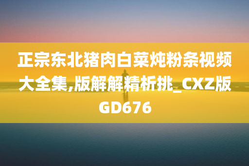 正宗东北猪肉白菜炖粉条视频大全集,版解解精析挑_CXZ版GD676