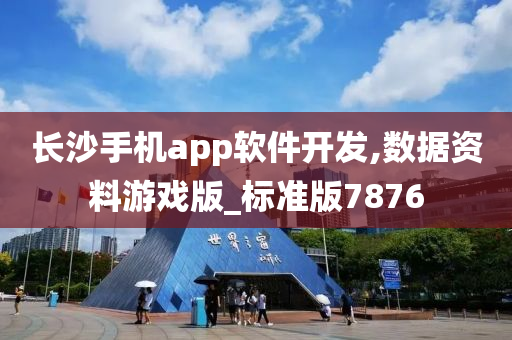 长沙手机app软件开发,数据资料游戏版_标准版7876