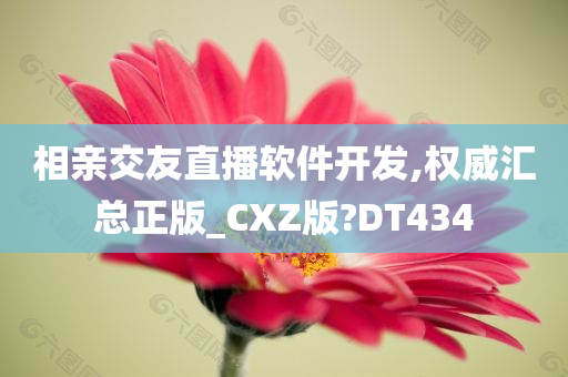 相亲交友直播软件开发,权威汇总正版_CXZ版?DT434