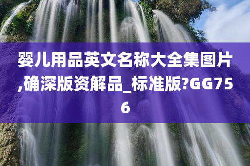 婴儿用品英文名称大全集图片,确深版资解品_标准版?GG756