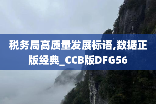 税务局高质量发展标语,数据正版经典_CCB版DFG56