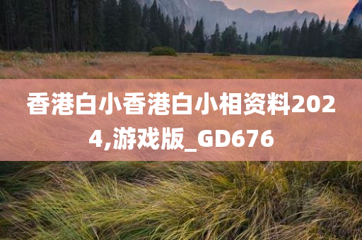 香港白小香港白小相资料2024,游戏版_GD676