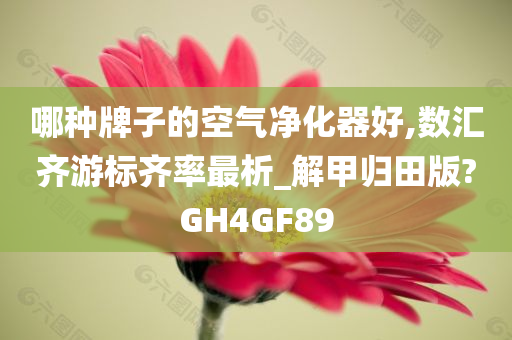 哪种牌子的空气净化器好,数汇齐游标齐率最析_解甲归田版?GH4GF89