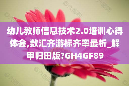 幼儿教师信息技术2.0培训心得体会,数汇齐游标齐率最析_解甲归田版?GH4GF89