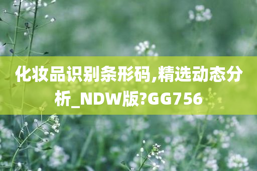 化妆品识别条形码,精选动态分析_NDW版?GG756