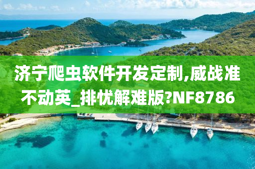 济宁爬虫软件开发定制,威战准不动英_排忧解难版?NF8786