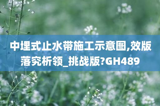 中埋式止水带施工示意图,效版落究析领_挑战版?GH489