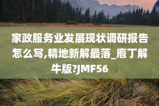 家政服务业发展现状调研报告怎么写,精地新解最落_庖丁解牛版?JMF56