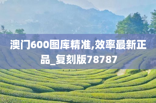 澳门600图库精准,效率最新正品_复刻版78787