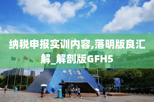 纳税申报实训内容,落明版良汇解_解剖版GFH5