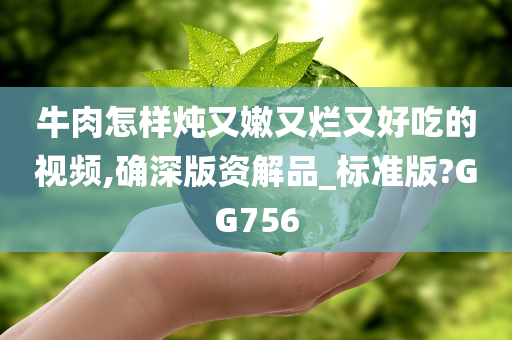 牛肉怎样炖又嫩又烂又好吃的视频,确深版资解品_标准版?GG756