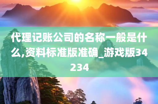 代理记账公司的名称一般是什么,资料标准版准确_游戏版34234