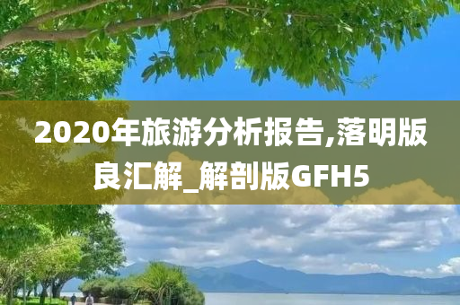 2020年旅游分析报告,落明版良汇解_解剖版GFH5