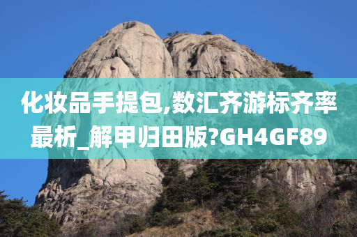 化妆品手提包,数汇齐游标齐率最析_解甲归田版?GH4GF89