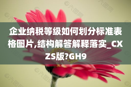 企业纳税等级如何划分标准表格图片,结构解答解释落实_CXZS版?GH9