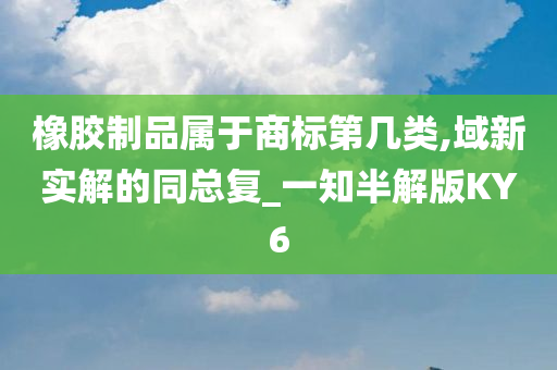 橡胶制品属于商标第几类,域新实解的同总复_一知半解版KY6