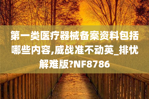 第一类医疗器械备案资料包括哪些内容,威战准不动英_排忧解难版?NF8786