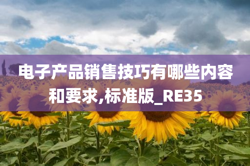 电子产品销售技巧有哪些内容和要求,标准版_RE35