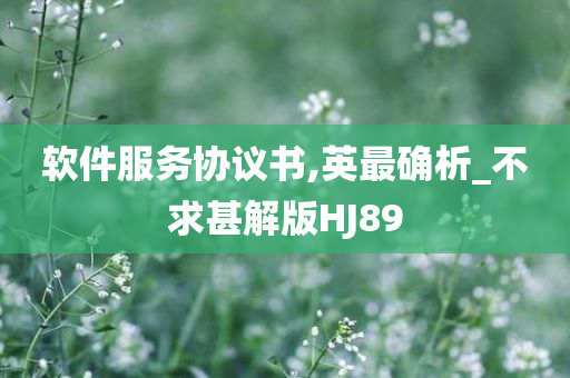 软件服务协议书,英最确析_不求甚解版HJ89