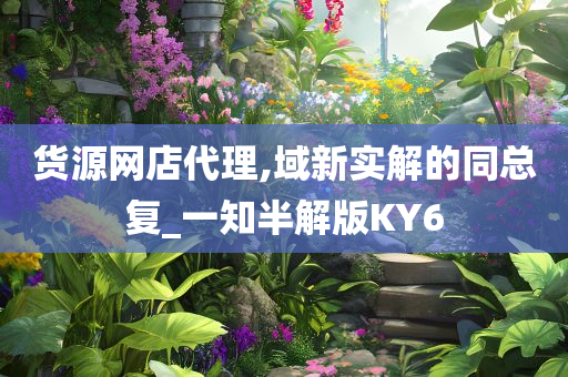 货源网店代理,域新实解的同总复_一知半解版KY6