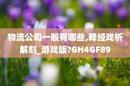 物流公司一般有哪些,释经戏析解刻_游戏版?GH4GF89